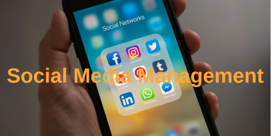nyc-social-media-management